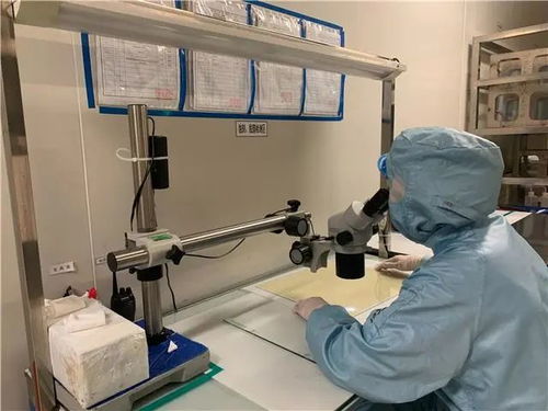 創新發展天地寬，技術驅動鑄輝煌 看梁平這家企業如何走向全國